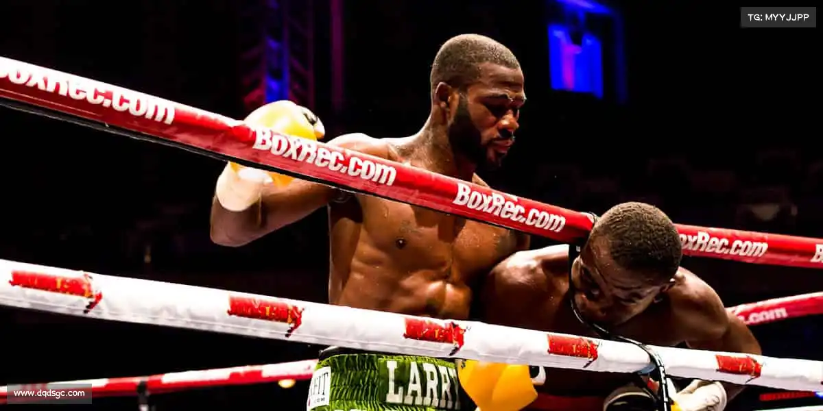 行业领先的理由